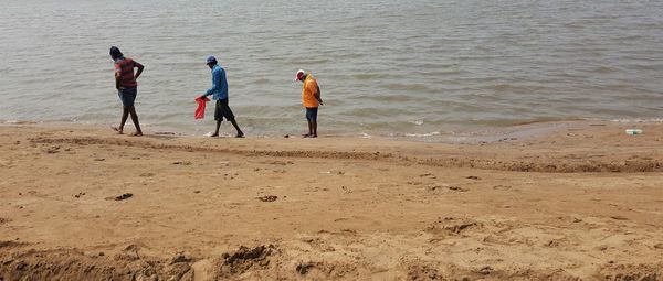 People standing on beach