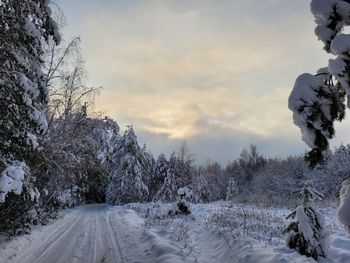 winter