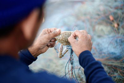 Midsection of fisherman removing crab from fishing net