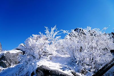 Low angle view of snow against clear blue sky
