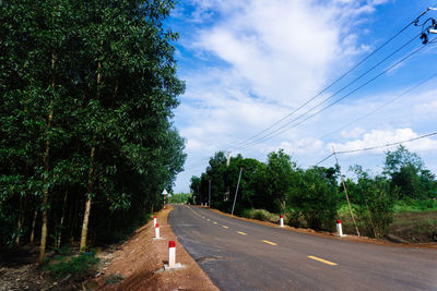 Road amidst trees against sky in city