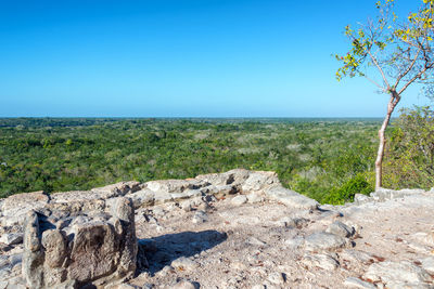 Scenic view of landscape against clear blue sky