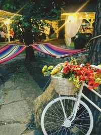 View of parked flowers