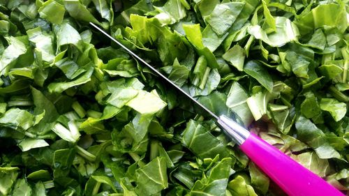 Full frame shot of chopped spinach