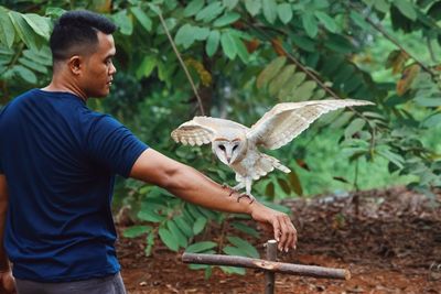 Mid adult man holding owl while standing against clear sky
