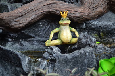 Close-up of figurine  frog on rock