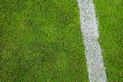 High angle view of soccer field