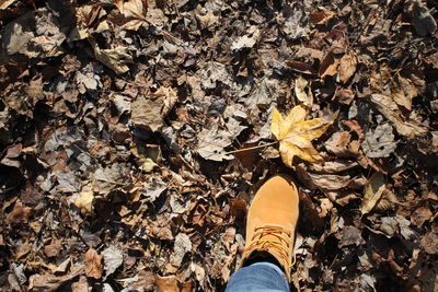 Low section of person standing on autumn leaves