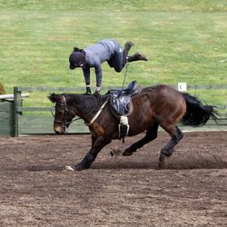 Full length of jockey in mid-air over horse at ranch
