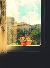 Statue against sky seen through window