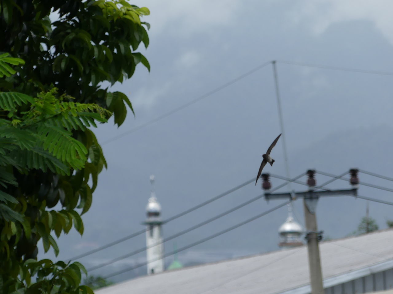 LOW ANGLE VIEW OF POWER LINE AGAINST SKY