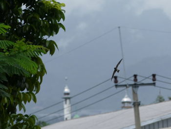 Low angle view of power lines against sky