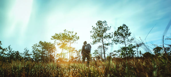 Low angle view of plants against sky