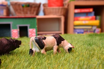 View of toy cow on grass 