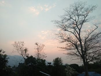 Low angle view of silhouette trees against sky during sunset