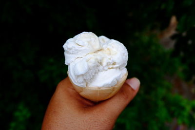 Close-up of hand holding ice cream