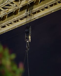 Low angle view of lighting equipment hanging on rope