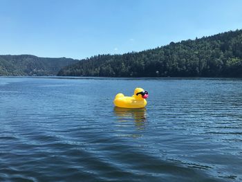 Toy floating on lake against sky