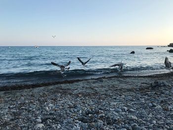 Scenic view of sea against clear sky