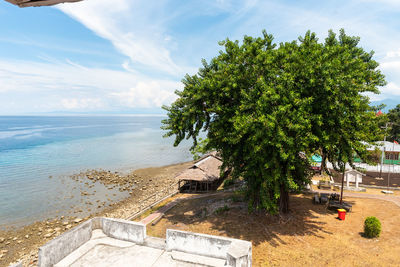 Tree by sea against sky