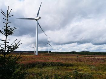 Windmills on field against sky