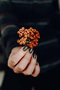 Close-up of hand holding flower