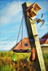 Close-up of clothes hanging against sky