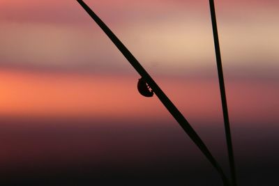 View of orange sky at sunset