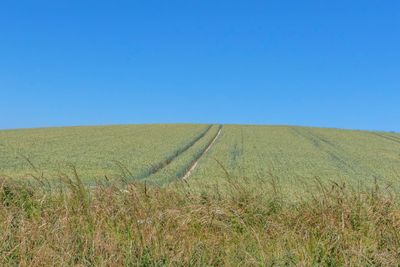 Scenic view of field against clear blue sky