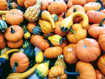 High angle view of pumpkins for sale in market