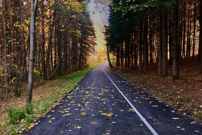Road amidst trees in forest during autumn