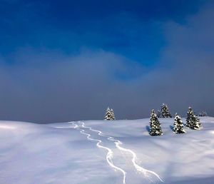 Snow covered land and trees against sky