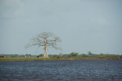 Scenic view of lake against clear sky