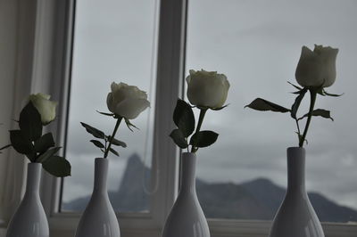 Close-up of flowers in vase against window