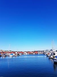 Sailboats moored at harbor against clear blue sky