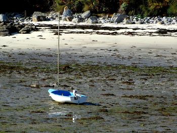 High angle view of boats moored on shore