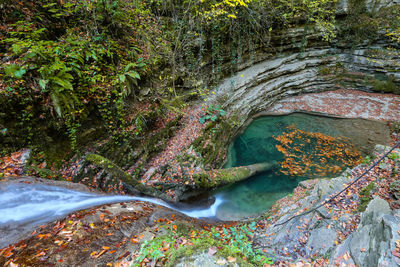 High angle view of river amidst trees