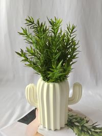 Close-up of potted plant on table