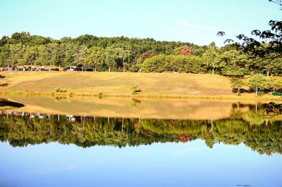 Scenic view of lake in forest against sky