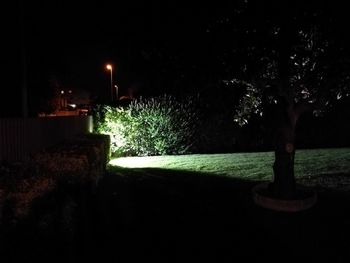 Illuminated tree against sky at night
