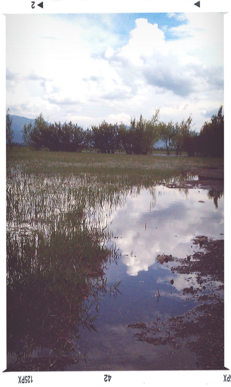 water, sky, lake, reflection, cloud - sky, tranquility, tranquil scene, tree, transfer print, scenics, nature, beauty in nature, auto post production filter, cloud, cloudy, outdoors, day, lakeshore, river, idyllic