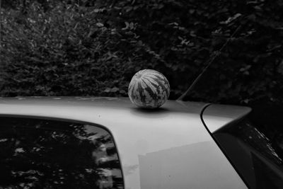 High angle view of a melon on car