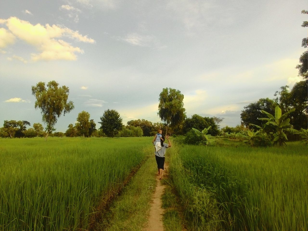 grass, field, sky, lifestyles, tree, full length, agriculture, rural scene, landscape, grassy, leisure activity, green color, growth, farm, tranquility, rear view, tranquil scene, nature