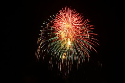 Low angle view of firework display at night