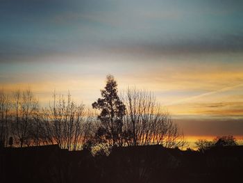 Silhouette plants against sky during sunset