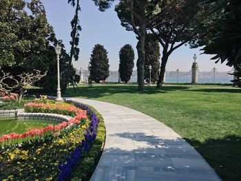 Trees in park against sky