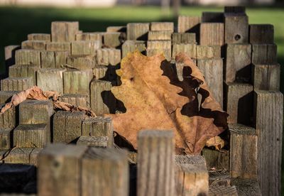 Close-up of wooden fence