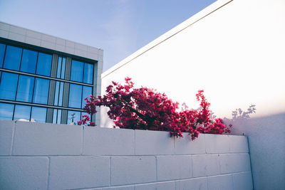 Low angle view of building