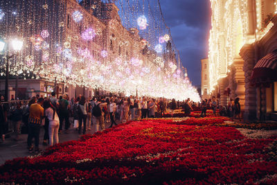 Group of people on illuminated street light at night