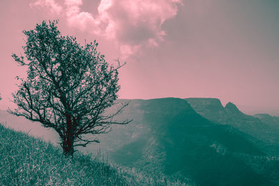 nature